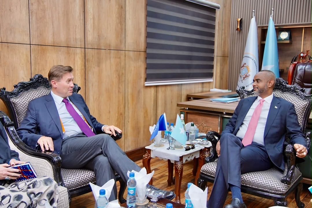 Somalia, EU reaffirm commitment to stronger institutional cooperation